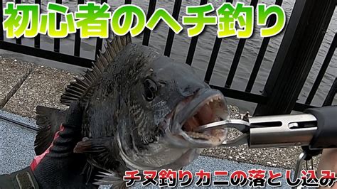 初心者のヘチ釣り「チヌ釣りカニの落とし込み」 Youtube