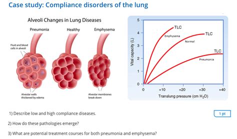Compliance Of Lung Mechanical Ventilation Series Lung Compliance