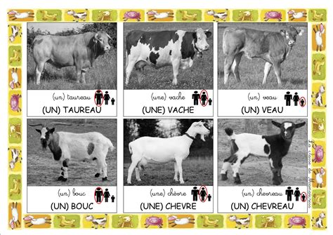 Loto Des Animaux De La Ferme La Classe De Mamaicress