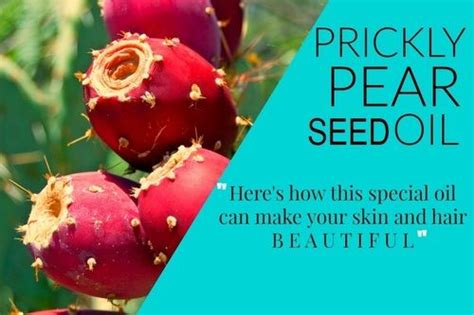 Organic Prickly Pear Seed Oil Grade Premium At Best Price In Agadir