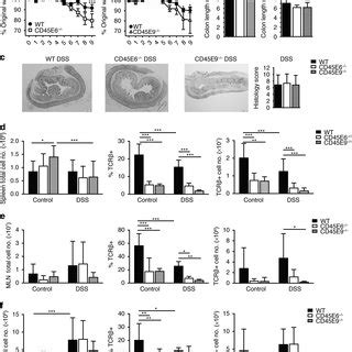 Characterization of wild type WT and CD45 À À mice with dextran