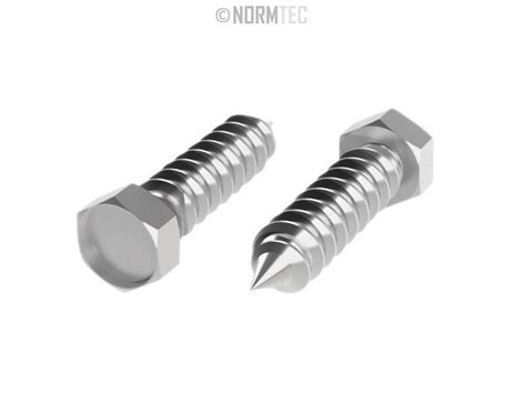 X Hexagon Head Self Tapping Screw Din C A Stainless Steel