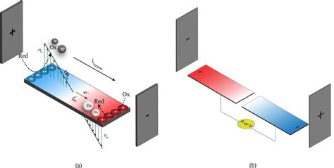 A Schematic Representation Of The Spatial Interfacial Potential