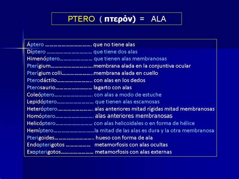 Dr Luis B GUERRERO CABRERA PTERO Del Griego ALA ALADO CON FORMA DE