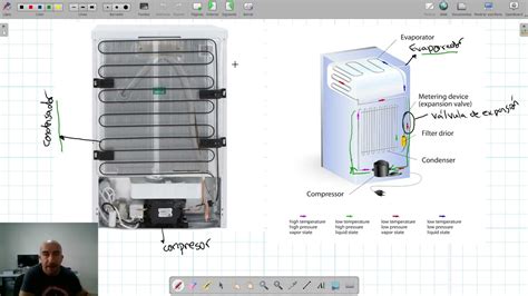 Cómo funciona un frigorífico explicación sencilla DonComo