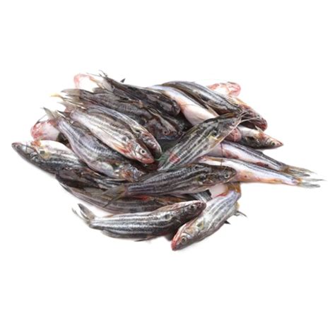 SobjiBazaar - Online Grocery Shop - Bangladesh. Tengra Fish Deshi - 400 gm