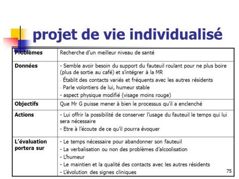 Formation Le Projet De Vie Individualisé Pvi Toulouse Bordeaux