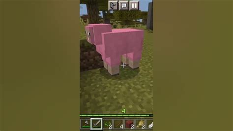 I Found Pink Sheep Minecraft Youtube