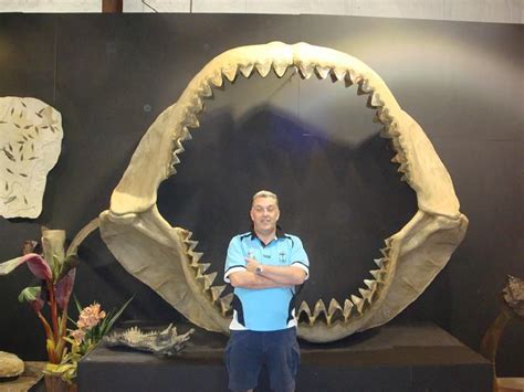 George And The Worlds Largest Megalodon Jaw Worlds Largest And