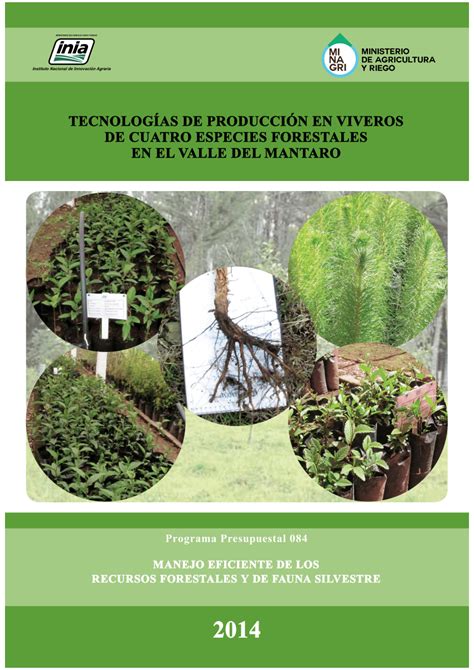 Pdf Tecnolog As De Producci N En Viveros De Cuatro Especies