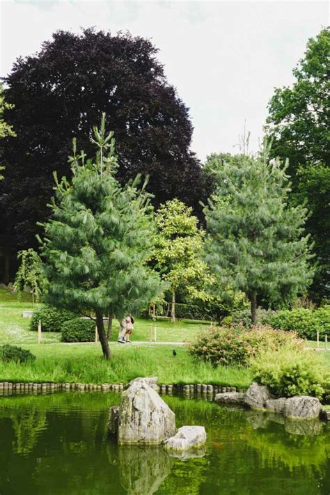 Hampstead Heath Pergola The Secret On The Heath London X London