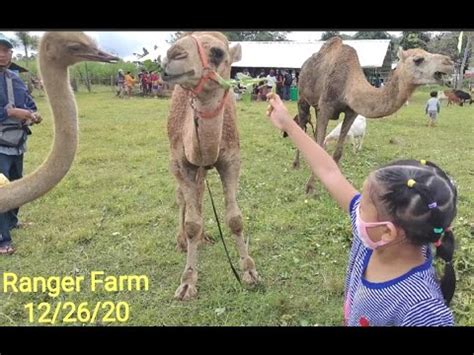 Ranger Farm Sara Iloilo YouTube