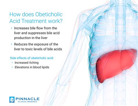 Primary Biliary Cholangitis Ppt