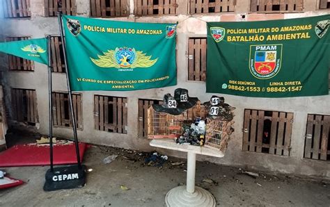 Homens S O Presos E Animais Apreendidos Em Rinha De Galo No Bairro