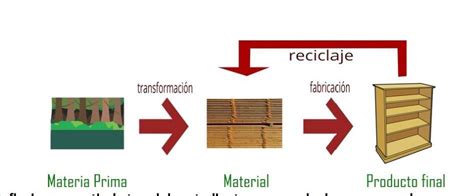 Observa La Imagen Y Explica Con Tus Palabras El Proceso De