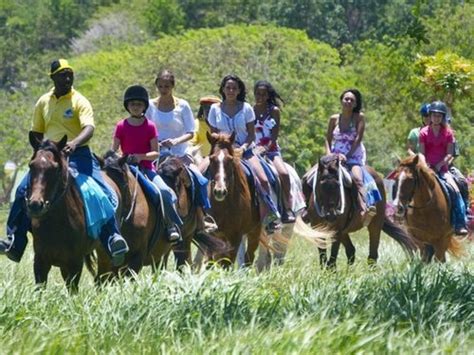 Montego Bay Horseback Riding and Ocean Swim Excursion - Montego Bay ...