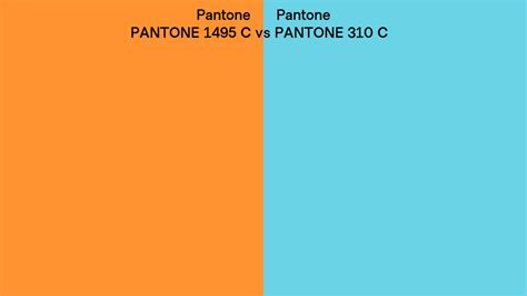 Pantone 1495 C Vs Pantone 310 C Side By Side Comparison