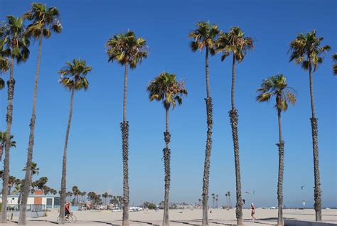 Huntington Beach - California Dental Implants Specialists