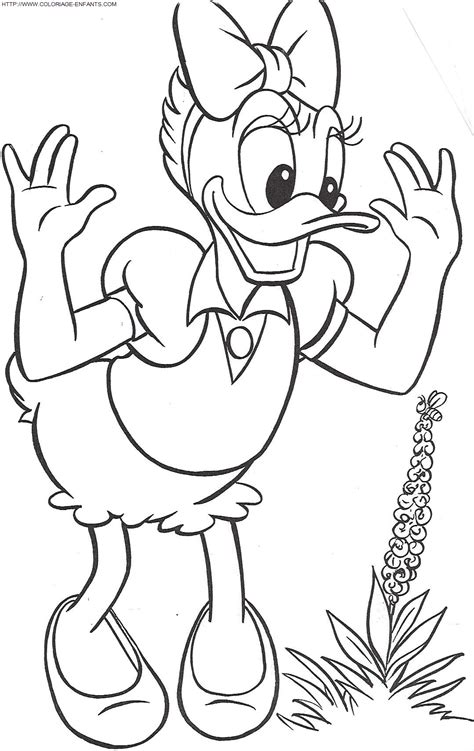 Pato Donald Para Imprimir Y Colorear IMAGESEE