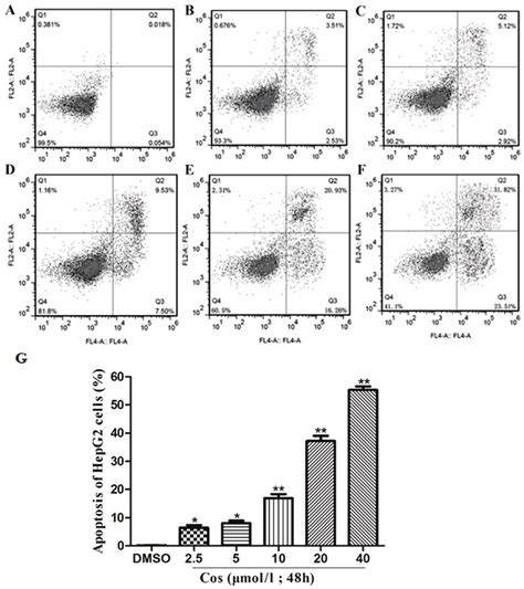 Effect Of Cos On Apoptosis Of Hepg2 Cells Hepg2 Cells Were Treated