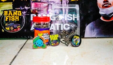 Pelet Auranti Mangap Mangap Bang Fish X Fajar Arief Repack Gr