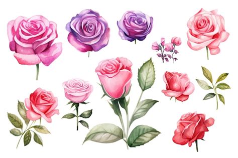 Premium Vector Watercolor Pink Rose Flower Bouquet For Valentines Day