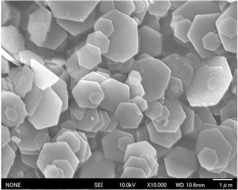 一种微米级片状β氢氧化钴及其绿色制备方法与流程 3