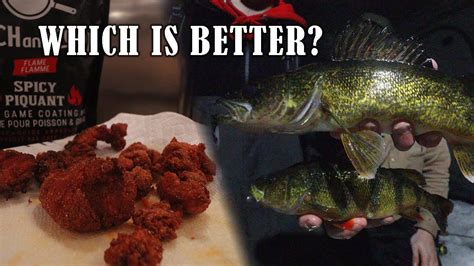 WHICH IS BETTER Walleye Vs Perch Taste Test YouTube