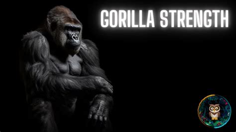 Gorilla Strength Explained 🦍 🔍 Freaks of Nature - YouTube