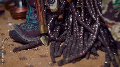 Mongolian Shaman Performing A Blessing Praying Or Offering During A