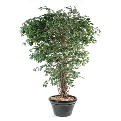 Ficus Artificiel Lianes Petites Feuilles Vertdecobac