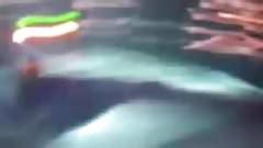 Napaljena Koleginica Free Amateur Porn Video 6f XHamster