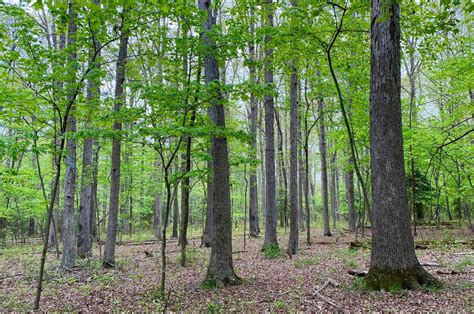 Steny Hoyer On Twitter Happy WorldEnvironmentDay I Am Proud To Have