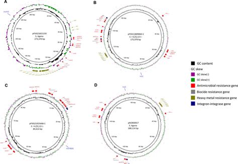 Structures Of Mdr Plasmids Harboring Mph A Pfsis A