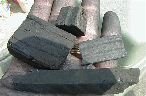 Review Of Fresh Market Lump Charcoal Naked Whiz Ceramic Charcoal Cooking