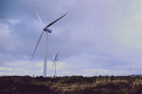 Premium Photo Wind Turbines In Field