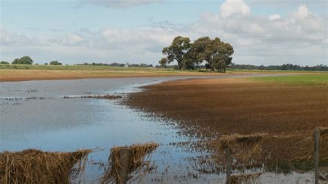 Victorian Farmers Face Massive Clean Up And Costs After Weeks Of