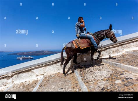 Santorini Donkey Path Thira Santorini Cyclades Greek Islands Greece