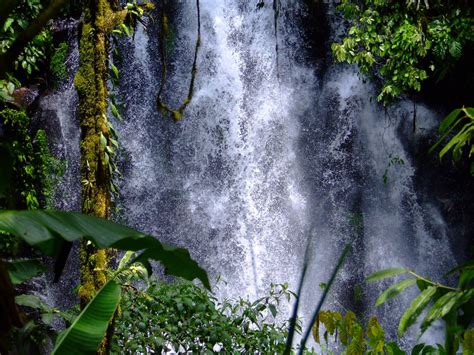 Torrenting Water Coming Down The Waterfalls In The Philippines Image