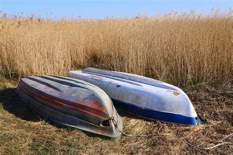 Reed Nature Boats - Free photo on Pixabay - Pixabay