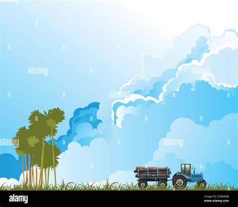 Representation Of Tropical Rain Forest Deforestation By Illegal Logging