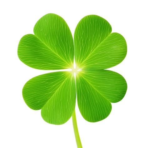 Premium Photo Fourleaf Lucky Clover Isolated On White Background