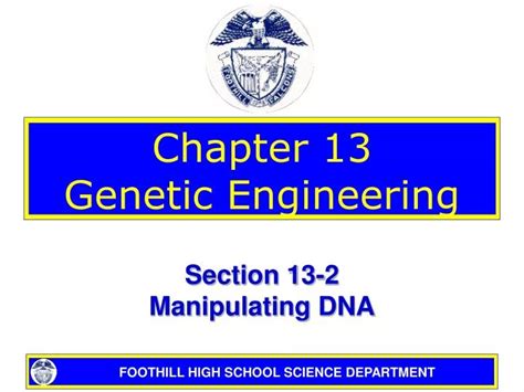 Ppt Chapter 13 Genetic Engineering Powerpoint Presentation Free Download Id433663