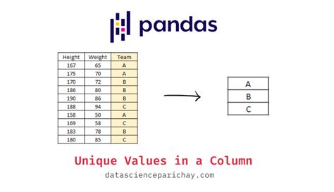 Pandas Get All Unique Values In A Column Data Science Parichay