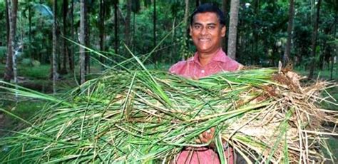 രമചച ഒര വരമനസഗനധ ചരമരഗങങളകക ഉതതമമണ രമചച