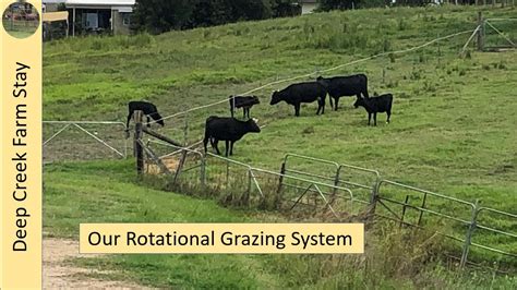 Our Rotational Grazing System Youtube