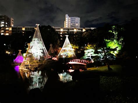 千葉・幕張海浜公園で日本庭園ライトアップ 雪つり、紅葉を鮮やかに演出 千葉経済新聞