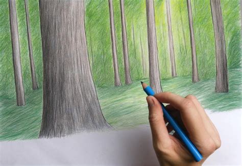 Forest Sketch 050724 (2) by TheAntiCamper on DeviantArt