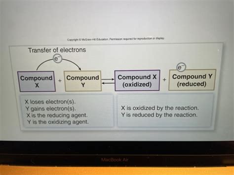 Chapter 6 Microbial Metabolism Flashcards Quizlet