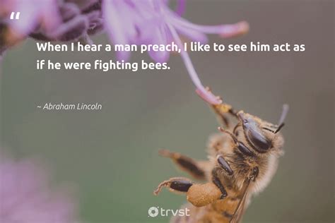 89 Bee Quotes & Inspirational Bee Sayings